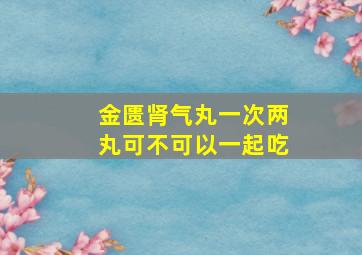 金匮肾气丸一次两丸可不可以一起吃