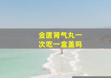 金匮肾气丸一次吃一盒盖吗