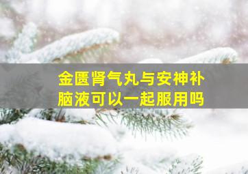 金匮肾气丸与安神补脑液可以一起服用吗