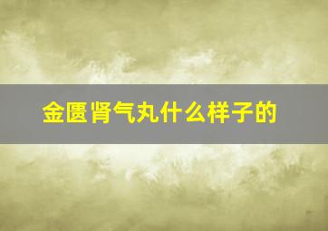 金匮肾气丸什么样子的