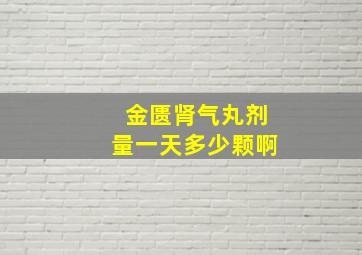 金匮肾气丸剂量一天多少颗啊