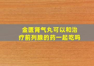 金匮肾气丸可以和治疗前列腺的药一起吃吗