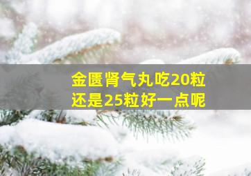 金匮肾气丸吃20粒还是25粒好一点呢