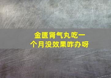 金匮肾气丸吃一个月没效果咋办呀