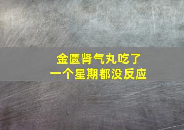 金匮肾气丸吃了一个星期都没反应