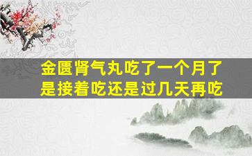 金匮肾气丸吃了一个月了是接着吃还是过几天再吃