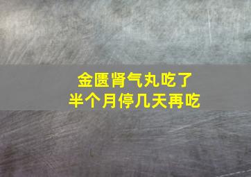 金匮肾气丸吃了半个月停几天再吃