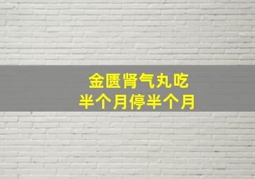 金匮肾气丸吃半个月停半个月