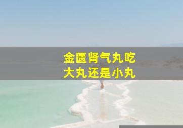 金匮肾气丸吃大丸还是小丸