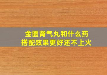 金匮肾气丸和什么药搭配效果更好还不上火