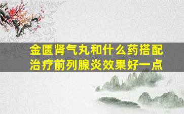 金匮肾气丸和什么药搭配治疗前列腺炎效果好一点