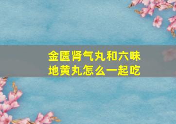 金匮肾气丸和六味地黄丸怎么一起吃