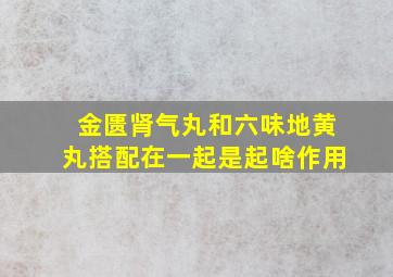 金匮肾气丸和六味地黄丸搭配在一起是起啥作用