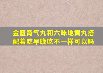 金匮肾气丸和六味地黄丸搭配着吃早晚吃不一样可以吗