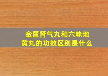 金匮肾气丸和六味地黄丸的功效区别是什么