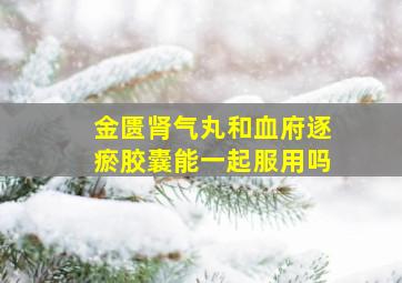 金匮肾气丸和血府逐瘀胶囊能一起服用吗