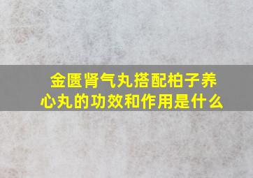 金匮肾气丸搭配柏子养心丸的功效和作用是什么