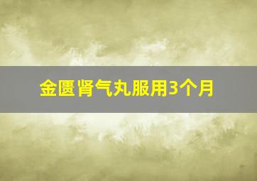 金匮肾气丸服用3个月