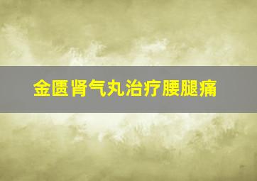 金匮肾气丸治疗腰腿痛