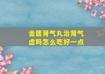 金匮肾气丸治肾气虚吗怎么吃好一点