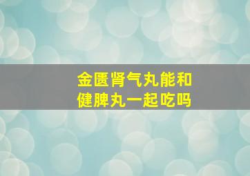 金匮肾气丸能和健脾丸一起吃吗