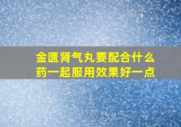 金匮肾气丸要配合什么药一起服用效果好一点