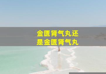 金匮肾气丸还是金匮肾气丸