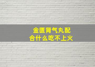 金匮肾气丸配合什么吃不上火