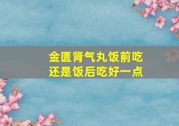 金匮肾气丸饭前吃还是饭后吃好一点