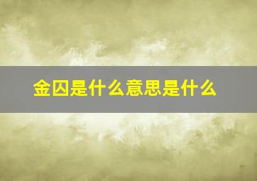 金囚是什么意思是什么