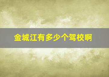 金城江有多少个驾校啊