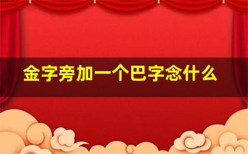 金字旁加一个巴字念什么