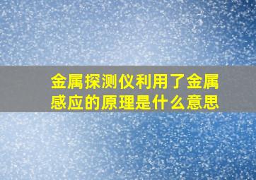 金属探测仪利用了金属感应的原理是什么意思