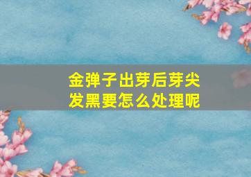 金弹子出芽后芽尖发黑要怎么处理呢