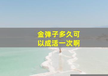 金弹子多久可以成活一次啊