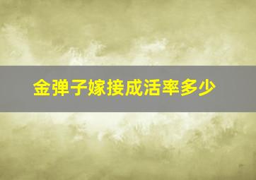 金弹子嫁接成活率多少