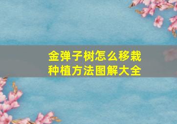 金弹子树怎么移栽种植方法图解大全