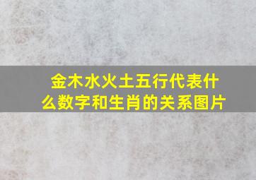 金木水火土五行代表什么数字和生肖的关系图片