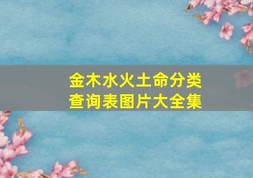 金木水火土命分类查询表图片大全集