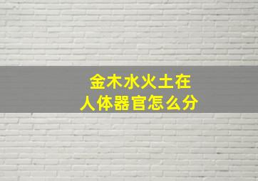 金木水火土在人体器官怎么分