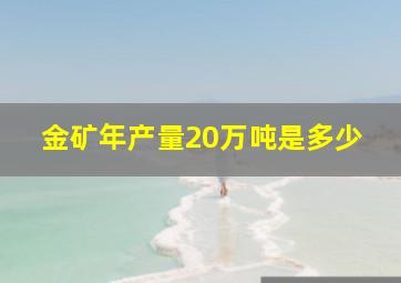 金矿年产量20万吨是多少