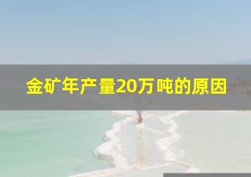 金矿年产量20万吨的原因