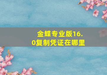 金蝶专业版16.0复制凭证在哪里