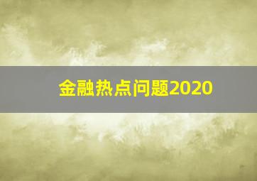 金融热点问题2020