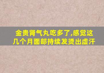 金贵肾气丸吃多了,感觉这几个月面部持续发烫出虚汗