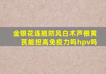 金银花连翘防风白术芦根黄芪能担高免疫力吗hpv吗