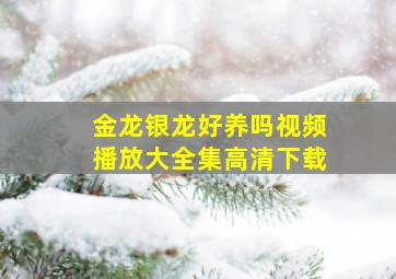 金龙银龙好养吗视频播放大全集高清下载