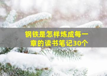 钢铁是怎样炼成每一章的读书笔记30个