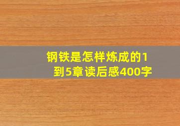 钢铁是怎样炼成的1到5章读后感400字