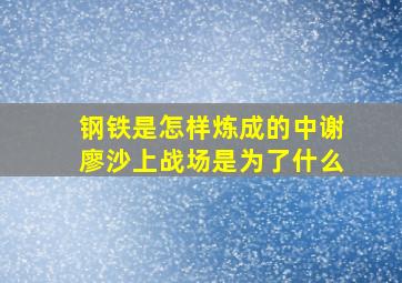 钢铁是怎样炼成的中谢廖沙上战场是为了什么